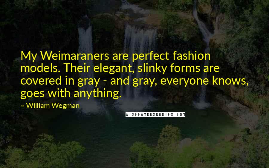 William Wegman Quotes: My Weimaraners are perfect fashion models. Their elegant, slinky forms are covered in gray - and gray, everyone knows, goes with anything.