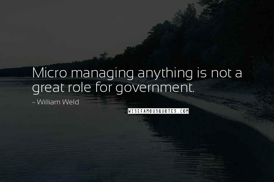 William Weld Quotes: Micro managing anything is not a great role for government.