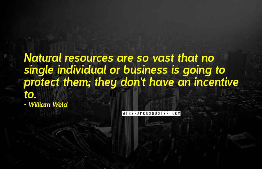 William Weld Quotes: Natural resources are so vast that no single individual or business is going to protect them; they don't have an incentive to.