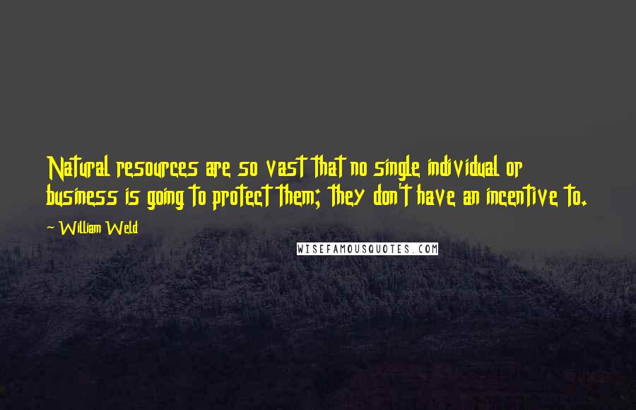 William Weld Quotes: Natural resources are so vast that no single individual or business is going to protect them; they don't have an incentive to.