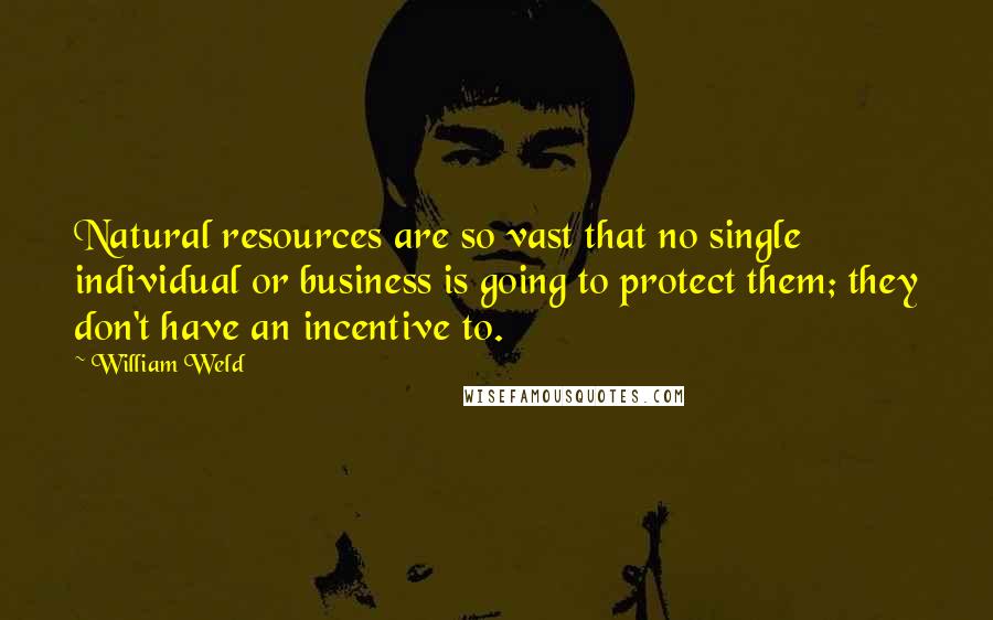 William Weld Quotes: Natural resources are so vast that no single individual or business is going to protect them; they don't have an incentive to.