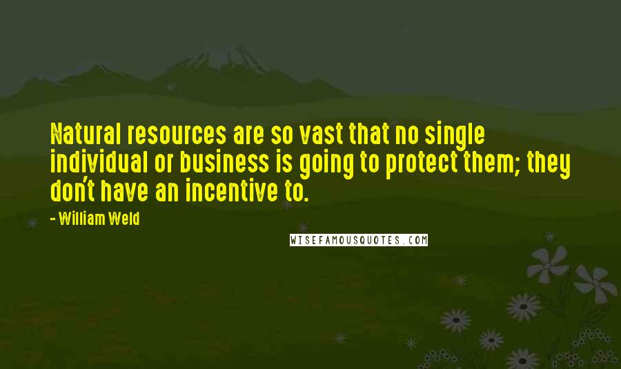 William Weld Quotes: Natural resources are so vast that no single individual or business is going to protect them; they don't have an incentive to.