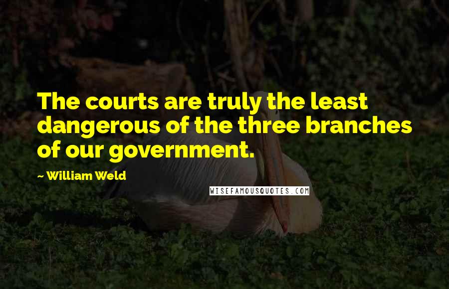 William Weld Quotes: The courts are truly the least dangerous of the three branches of our government.