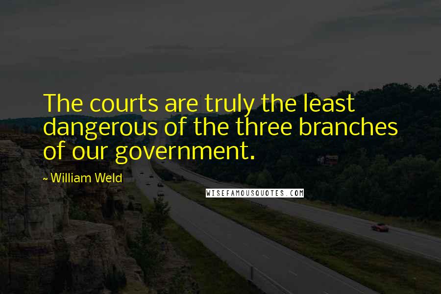 William Weld Quotes: The courts are truly the least dangerous of the three branches of our government.