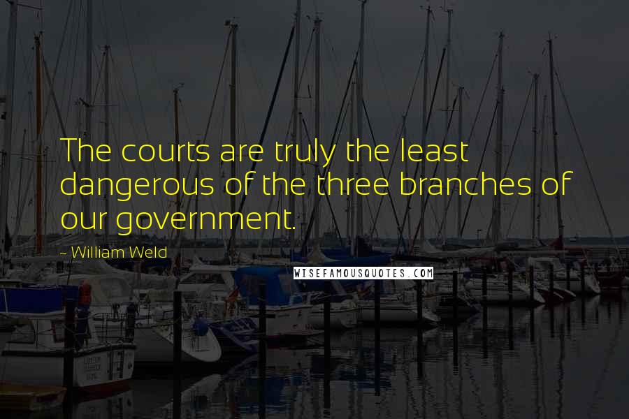 William Weld Quotes: The courts are truly the least dangerous of the three branches of our government.