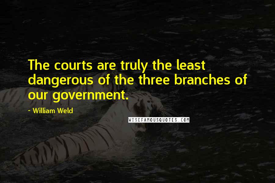 William Weld Quotes: The courts are truly the least dangerous of the three branches of our government.