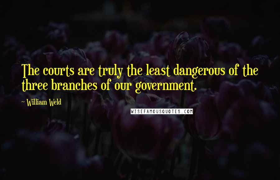 William Weld Quotes: The courts are truly the least dangerous of the three branches of our government.