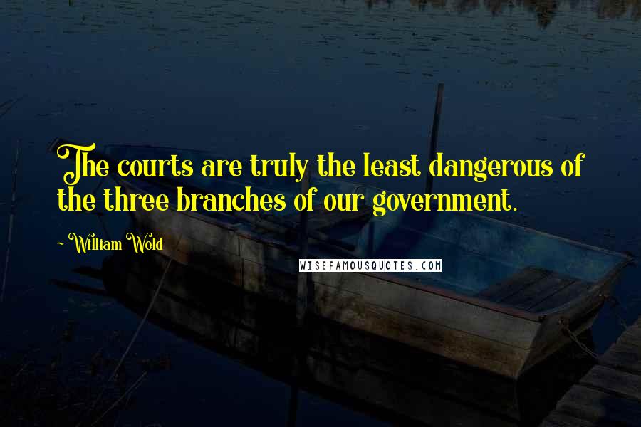 William Weld Quotes: The courts are truly the least dangerous of the three branches of our government.
