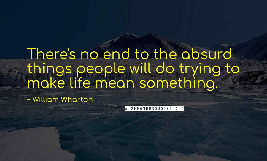 William Wharton Quotes: There's no end to the absurd things people will do trying to make life mean something.