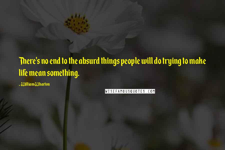 William Wharton Quotes: There's no end to the absurd things people will do trying to make life mean something.