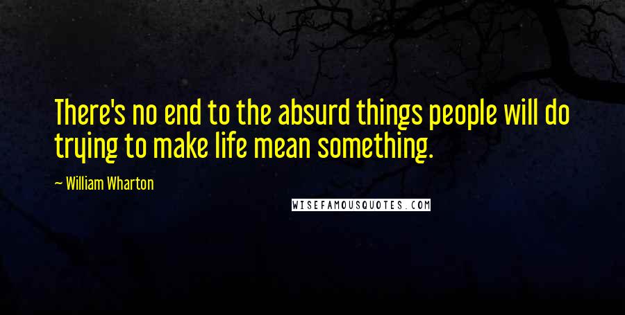 William Wharton Quotes: There's no end to the absurd things people will do trying to make life mean something.