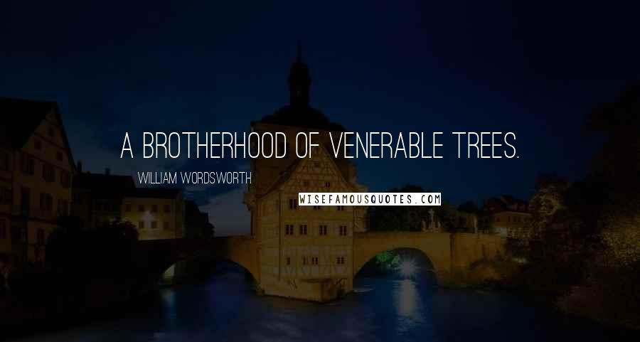 William Wordsworth Quotes: A brotherhood of venerable trees.