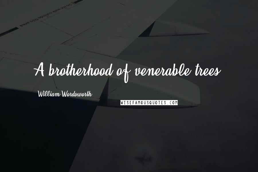 William Wordsworth Quotes: A brotherhood of venerable trees.