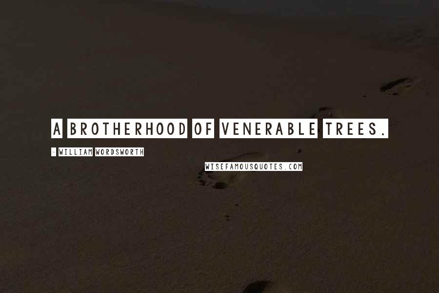 William Wordsworth Quotes: A brotherhood of venerable trees.