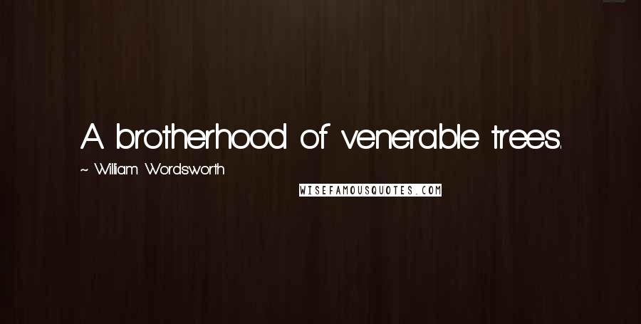 William Wordsworth Quotes: A brotherhood of venerable trees.