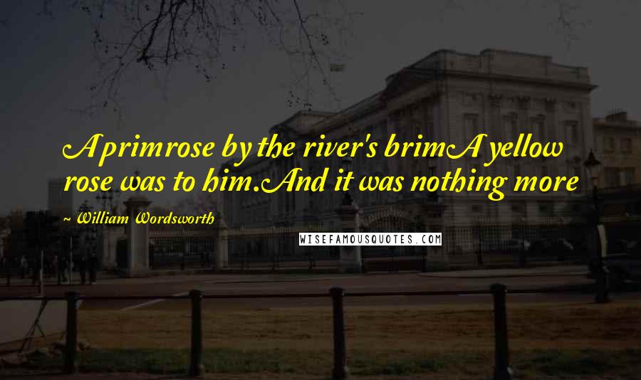 William Wordsworth Quotes: A primrose by the river's brimA yellow rose was to him.And it was nothing more