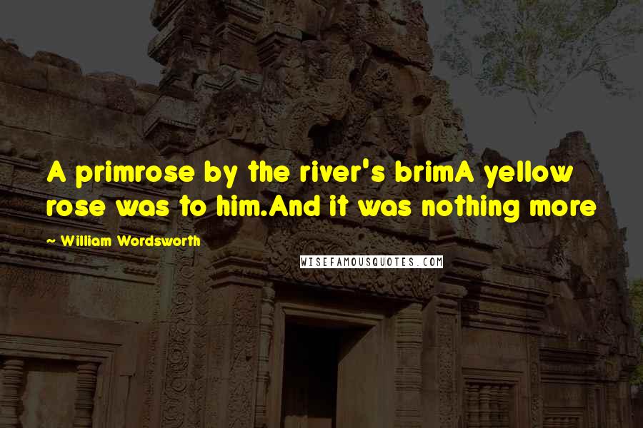 William Wordsworth Quotes: A primrose by the river's brimA yellow rose was to him.And it was nothing more