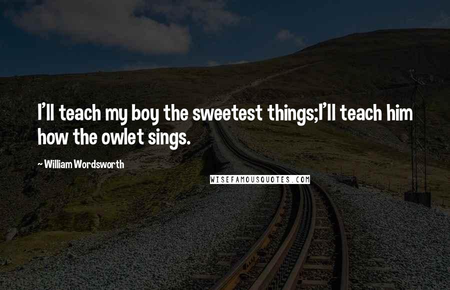 William Wordsworth Quotes: I'll teach my boy the sweetest things;I'll teach him how the owlet sings.