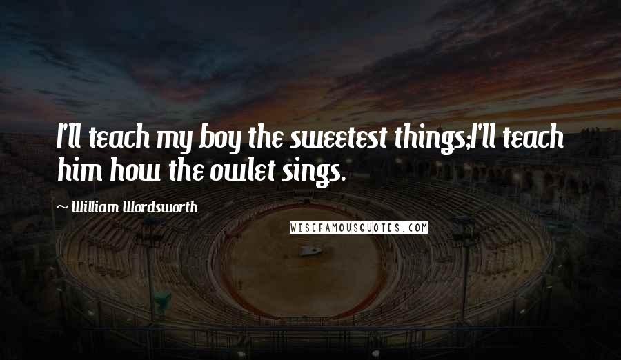 William Wordsworth Quotes: I'll teach my boy the sweetest things;I'll teach him how the owlet sings.