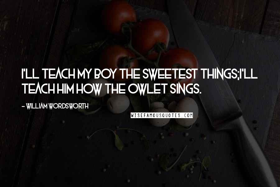 William Wordsworth Quotes: I'll teach my boy the sweetest things;I'll teach him how the owlet sings.