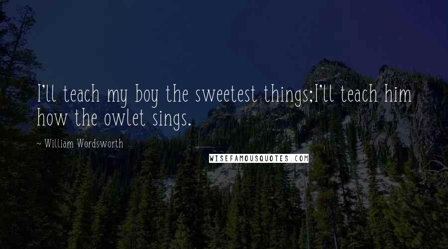 William Wordsworth Quotes: I'll teach my boy the sweetest things;I'll teach him how the owlet sings.