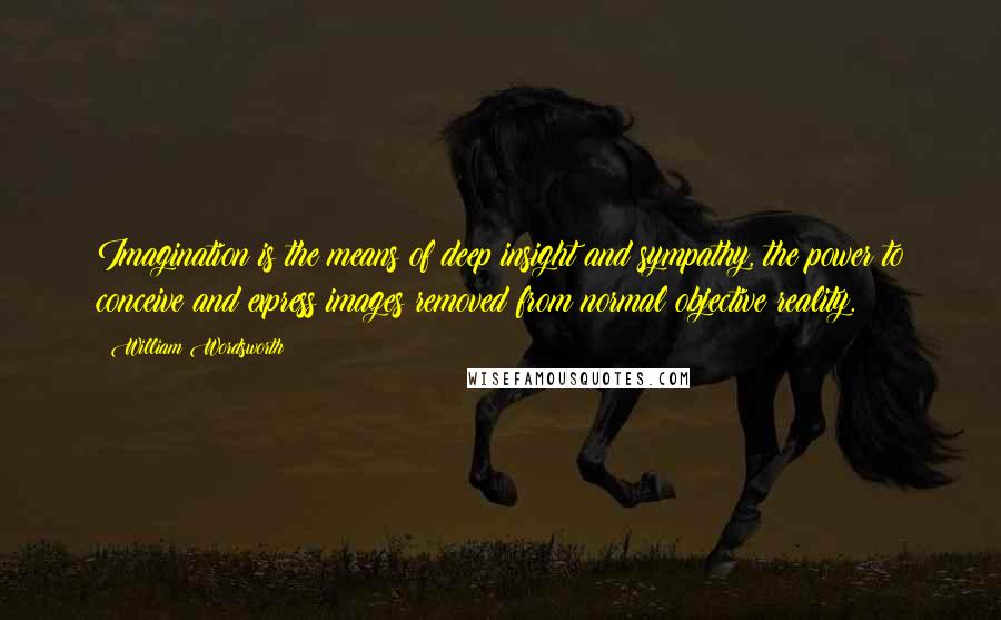 William Wordsworth Quotes: Imagination is the means of deep insight and sympathy, the power to conceive and express images removed from normal objective reality.