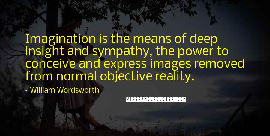 William Wordsworth Quotes: Imagination is the means of deep insight and sympathy, the power to conceive and express images removed from normal objective reality.