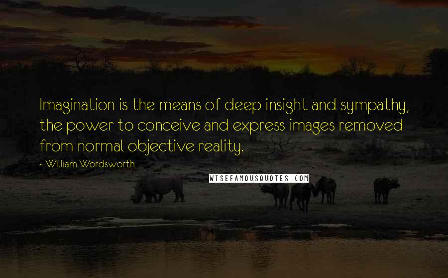 William Wordsworth Quotes: Imagination is the means of deep insight and sympathy, the power to conceive and express images removed from normal objective reality.