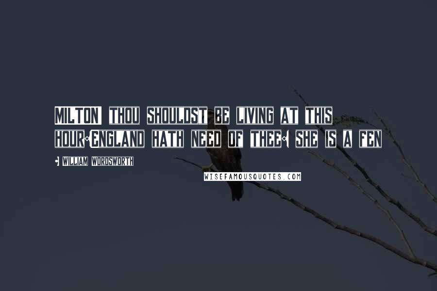 William Wordsworth Quotes: MILTON! thou shouldst be living at this hour:England hath need of thee: she is a fen