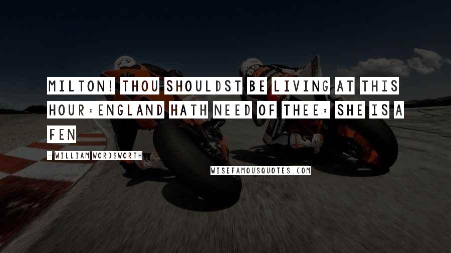 William Wordsworth Quotes: MILTON! thou shouldst be living at this hour:England hath need of thee: she is a fen