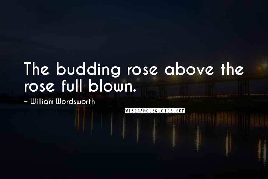 William Wordsworth Quotes: The budding rose above the rose full blown.