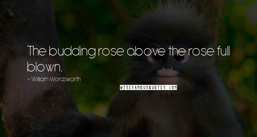 William Wordsworth Quotes: The budding rose above the rose full blown.