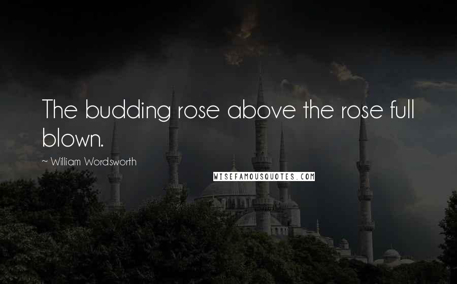 William Wordsworth Quotes: The budding rose above the rose full blown.