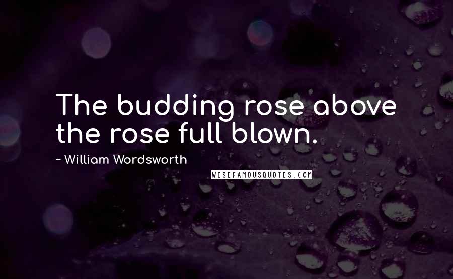 William Wordsworth Quotes: The budding rose above the rose full blown.