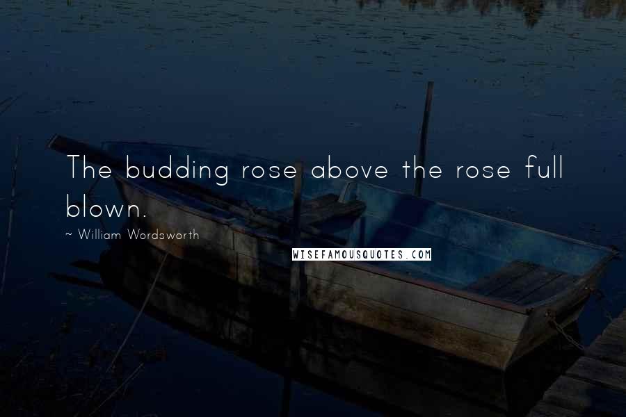 William Wordsworth Quotes: The budding rose above the rose full blown.