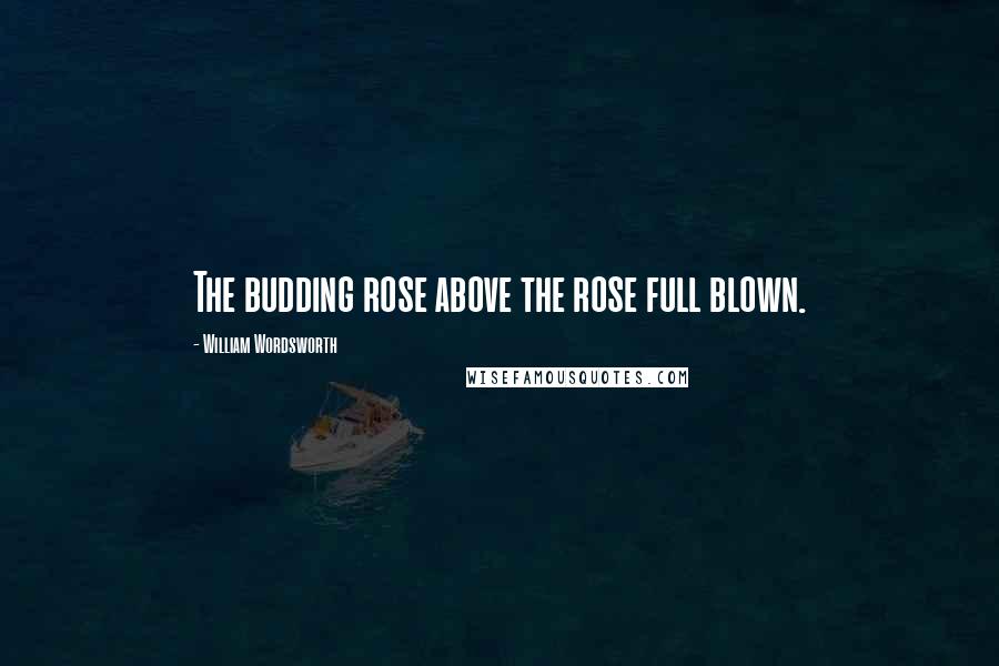 William Wordsworth Quotes: The budding rose above the rose full blown.