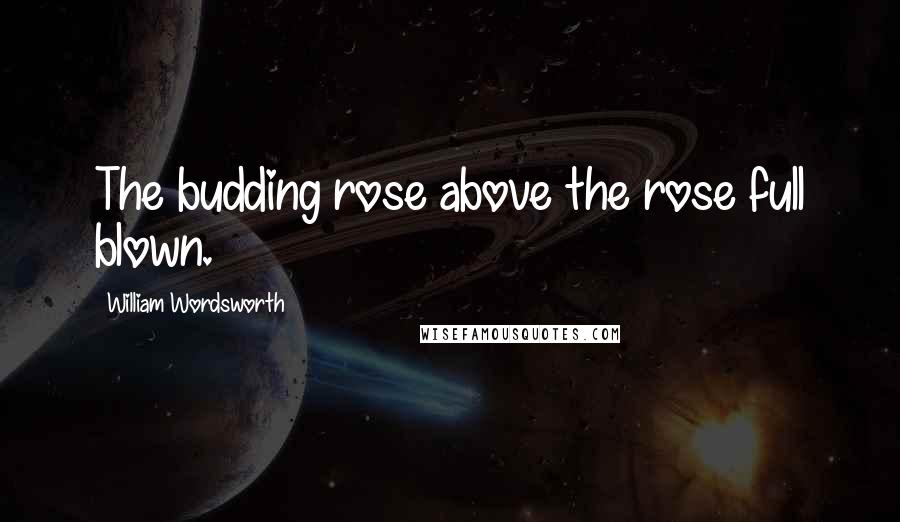 William Wordsworth Quotes: The budding rose above the rose full blown.