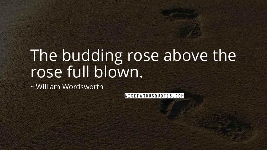 William Wordsworth Quotes: The budding rose above the rose full blown.