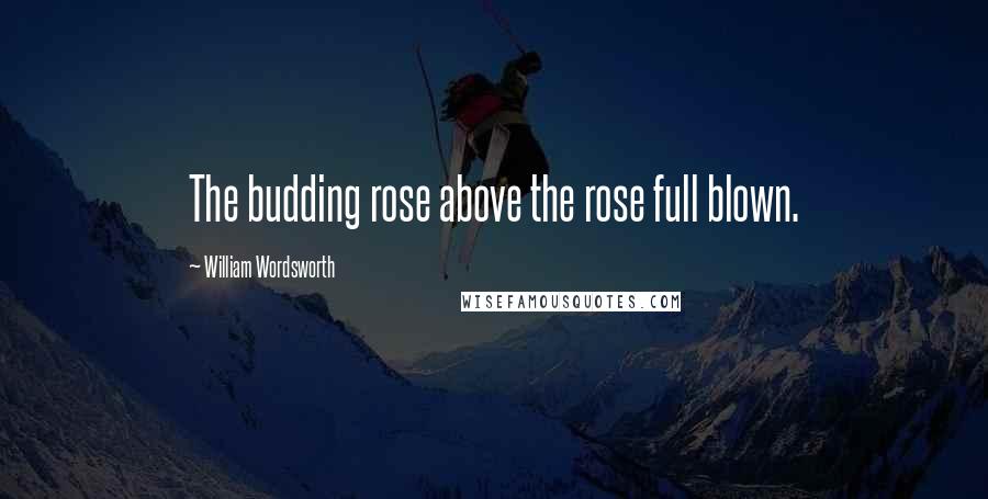 William Wordsworth Quotes: The budding rose above the rose full blown.