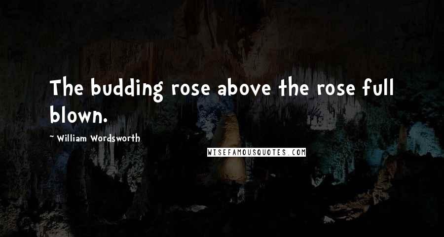 William Wordsworth Quotes: The budding rose above the rose full blown.