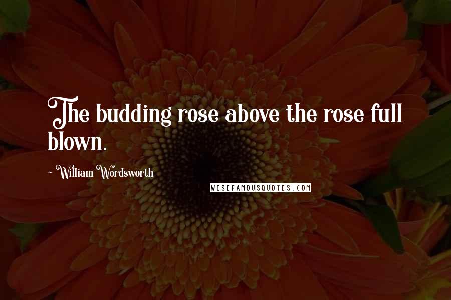 William Wordsworth Quotes: The budding rose above the rose full blown.
