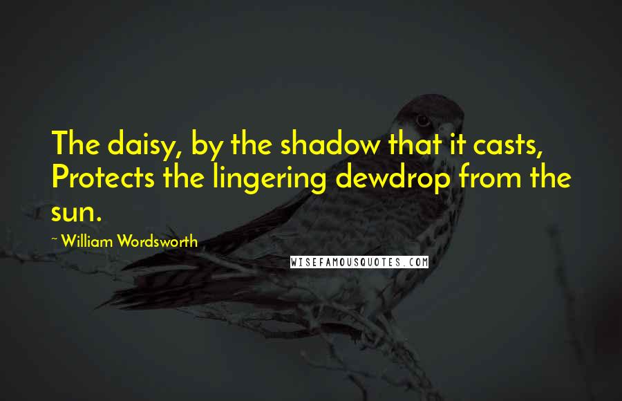 William Wordsworth Quotes: The daisy, by the shadow that it casts, Protects the lingering dewdrop from the sun.