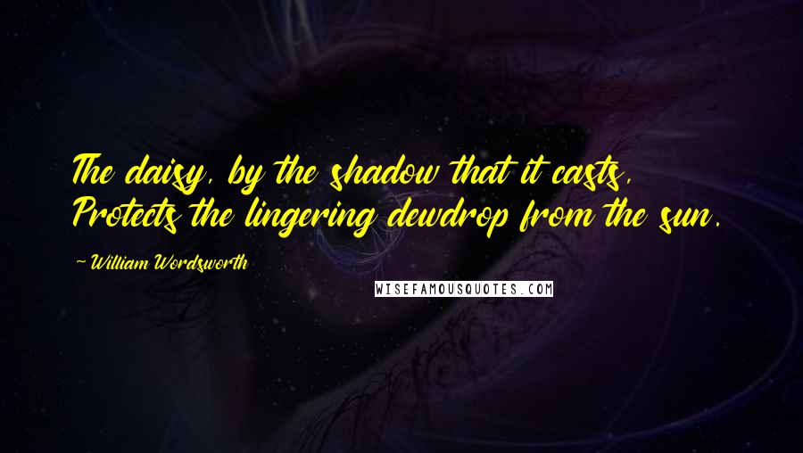 William Wordsworth Quotes: The daisy, by the shadow that it casts, Protects the lingering dewdrop from the sun.