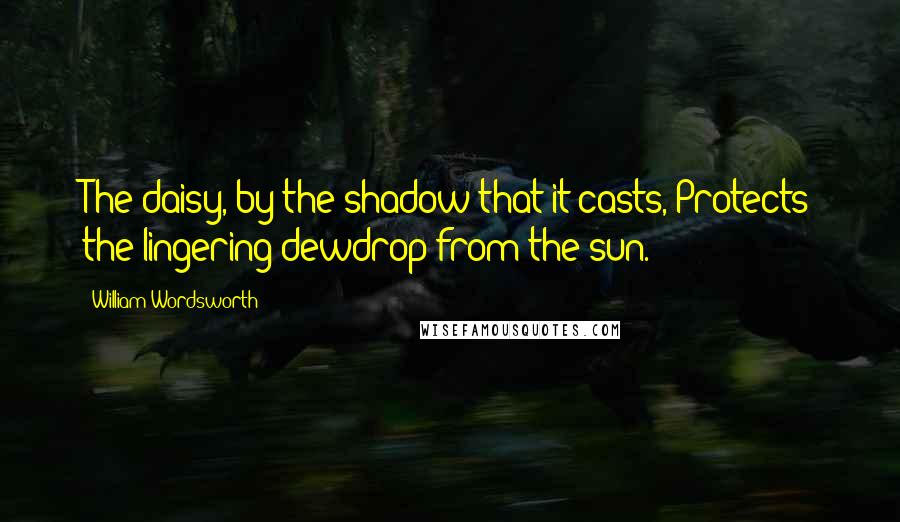 William Wordsworth Quotes: The daisy, by the shadow that it casts, Protects the lingering dewdrop from the sun.