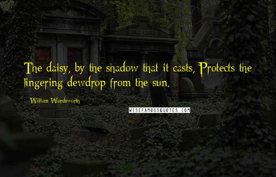 William Wordsworth Quotes: The daisy, by the shadow that it casts, Protects the lingering dewdrop from the sun.