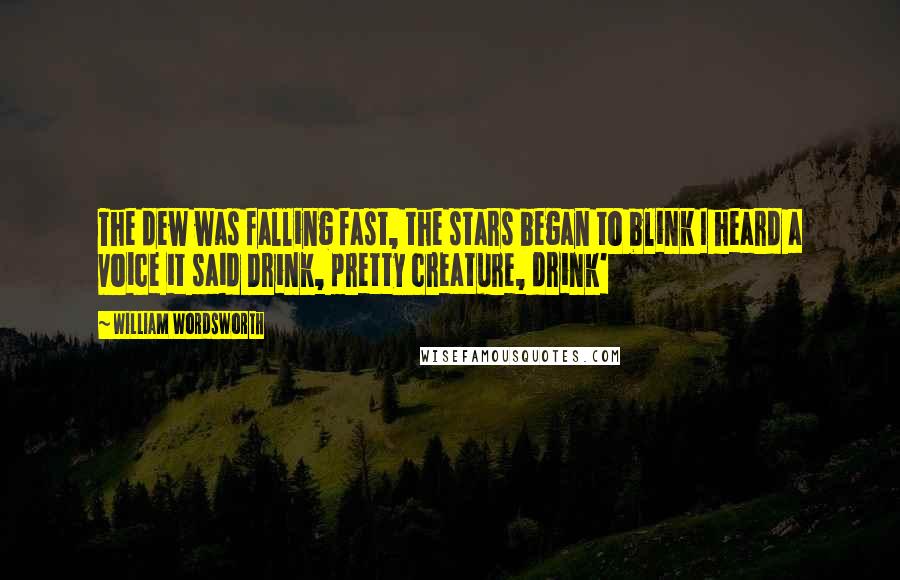 William Wordsworth Quotes: The dew was falling fast, the stars began to blink I heard a voice it said Drink, pretty creature, drink'