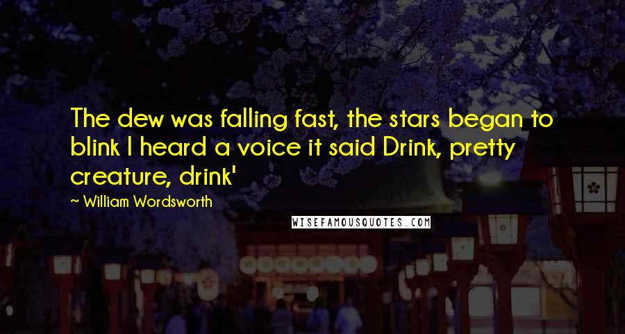 William Wordsworth Quotes: The dew was falling fast, the stars began to blink I heard a voice it said Drink, pretty creature, drink'