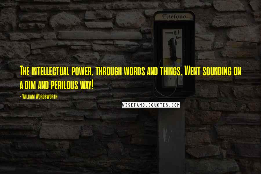 William Wordsworth Quotes: The intellectual power, through words and things, Went sounding on a dim and perilous way!