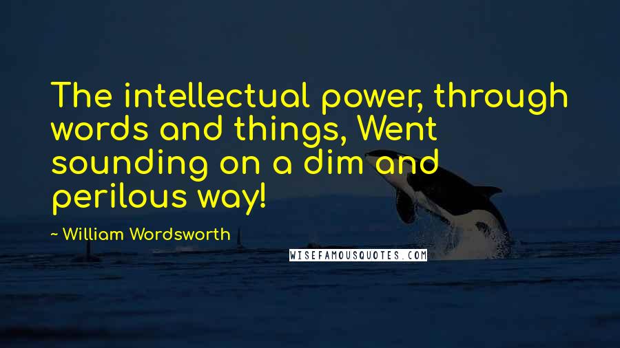 William Wordsworth Quotes: The intellectual power, through words and things, Went sounding on a dim and perilous way!