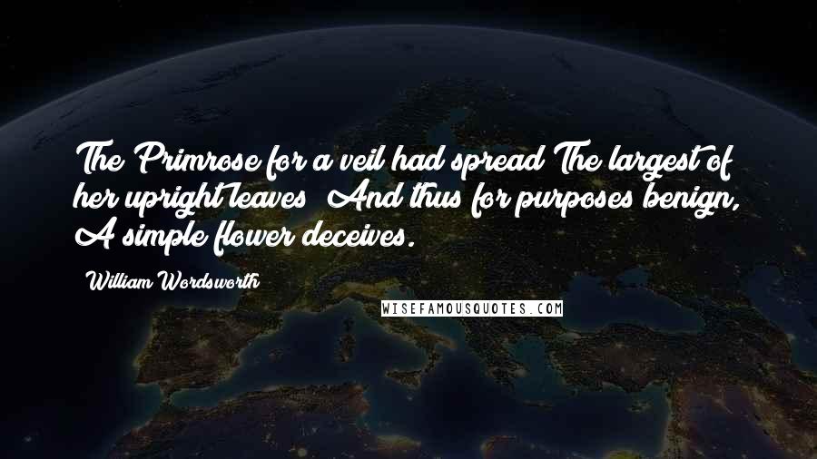William Wordsworth Quotes: The Primrose for a veil had spread The largest of her upright leaves; And thus for purposes benign, A simple flower deceives.